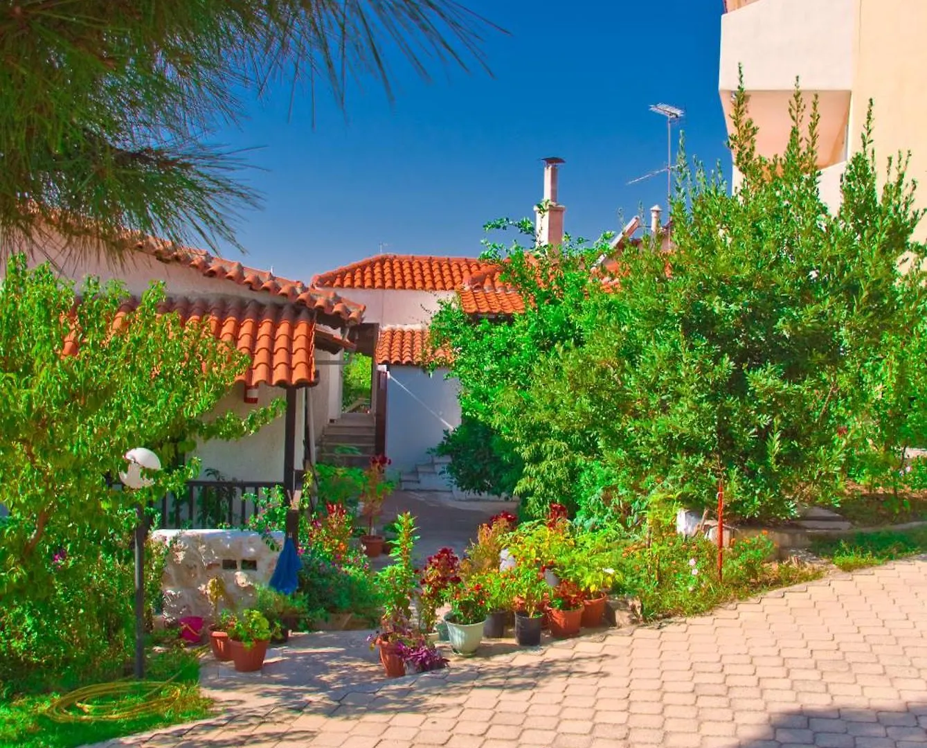 Stavros & Maria'S Haus Villa Gerakini Holiday home