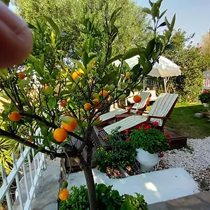 Nikos Stone House 80m From The With Wifi Gerakini
